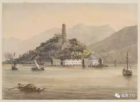 看福州茶叶市场上的这些博弈,或许你会明白中国茶叶贸易的兴衰缘由