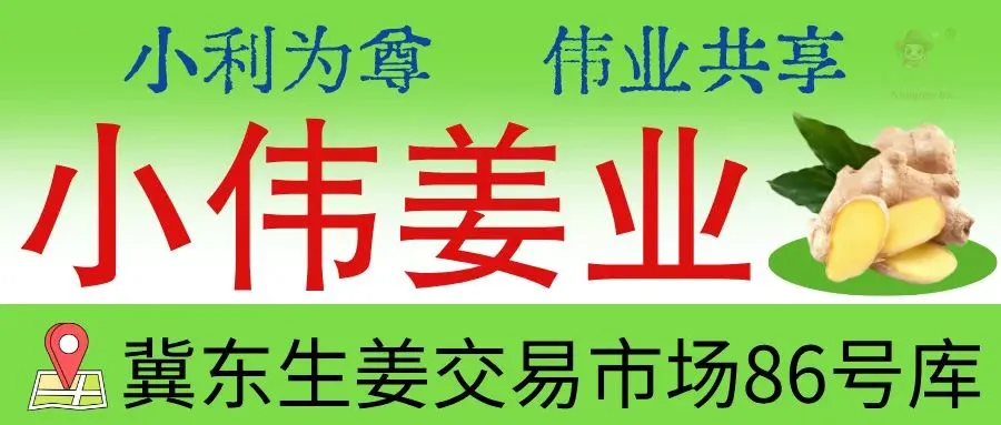 03月29日冀东生姜交易市场生姜参考价格