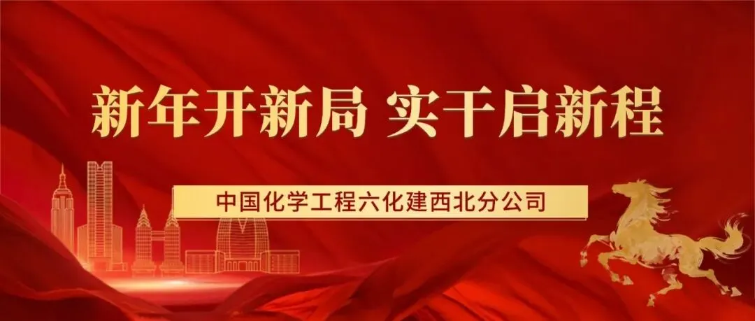 聚力研判市场态势 深耕奋进海外新程——西北分公司召开2026年海外业务专题会