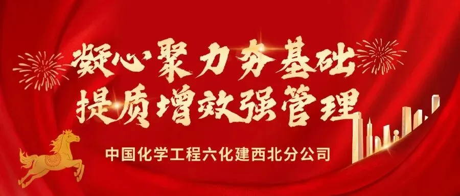 聚力研判市场态势 深耕奋进海外新程——西北分公司召开2026年海外业务专题会
