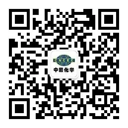 聚力研判市场态势 深耕奋进海外新程——西北分公司召开2026年海外业务专题会