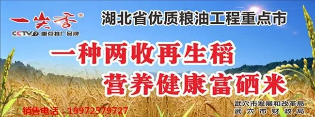 武穴市市场监督管理局集中曝光4起网络餐饮食品安全整治典型案例