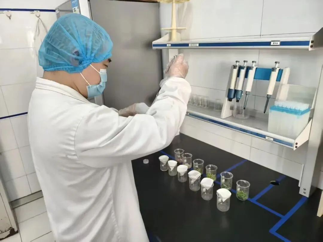 2026扬马冠军出炉!市场监管部门守牢跑者“舌尖安全”