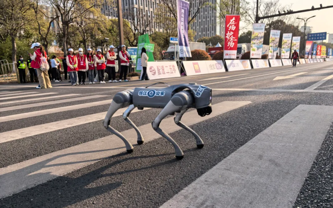 2026扬马冠军出炉!市场监管部门守牢跑者“舌尖安全”