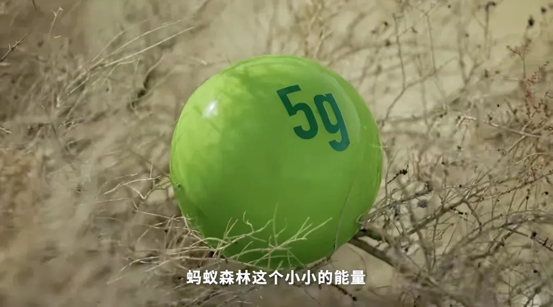 品牌营销动向(一)「华晨宇自创品牌重点 POINZ 正式发布!」