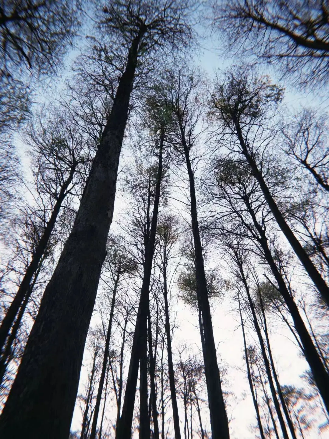 “结硬寨,打呆仗,积小胜为大胜”以应对市场波动