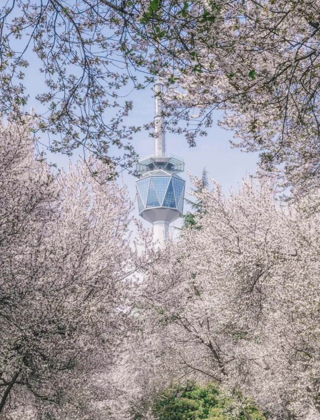 陕西春季旅游市场持续升温