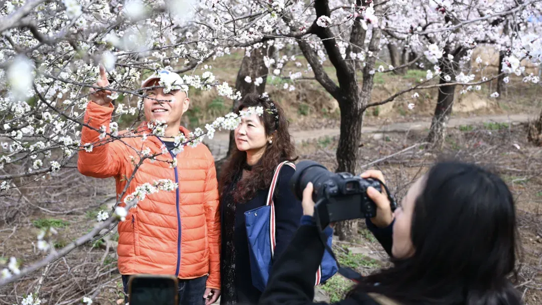 陕西春季旅游市场持续升温