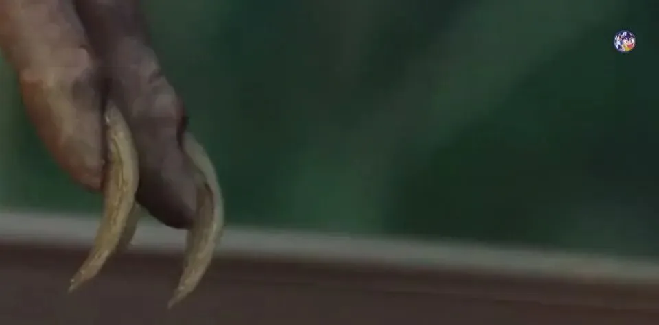 王传福造车那一年,资本市场差点把比亚迪“抛死”