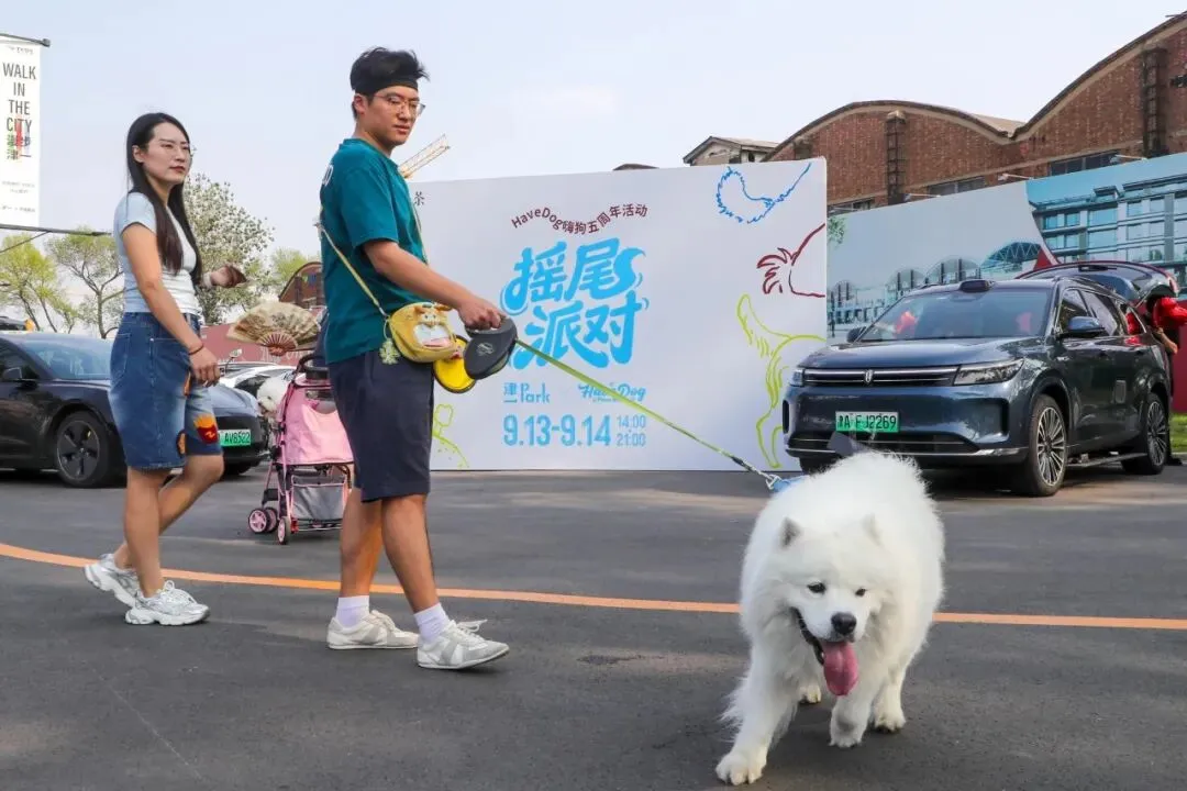 这条千亿赛道,天津以何“宠”出市场?