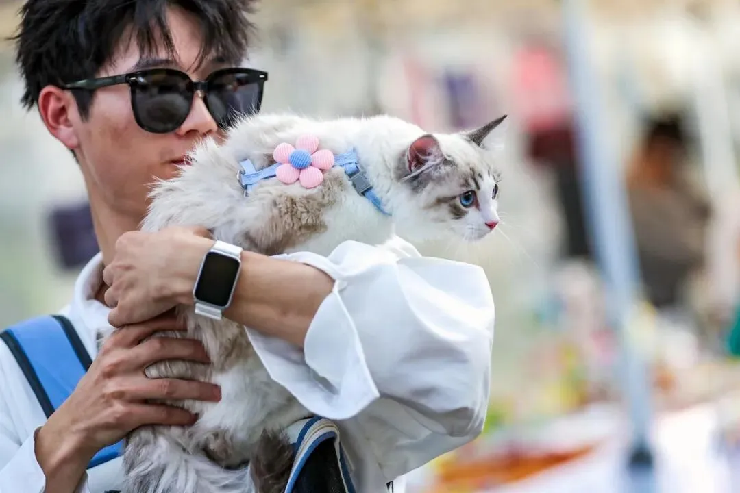 这条千亿赛道,天津以何“宠”出市场?