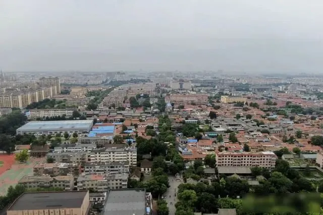 漂亮!日本垄断了几十年的推土机市场,被山东企业逆袭