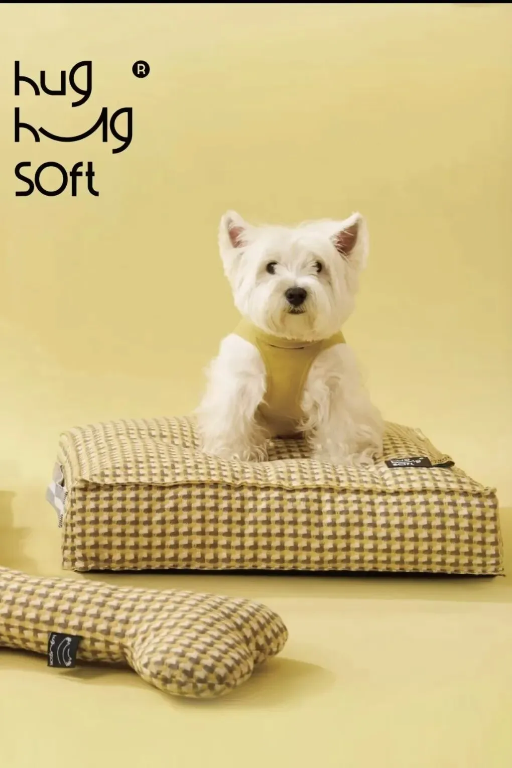 宠物拟人化营销调研,我们这样做!