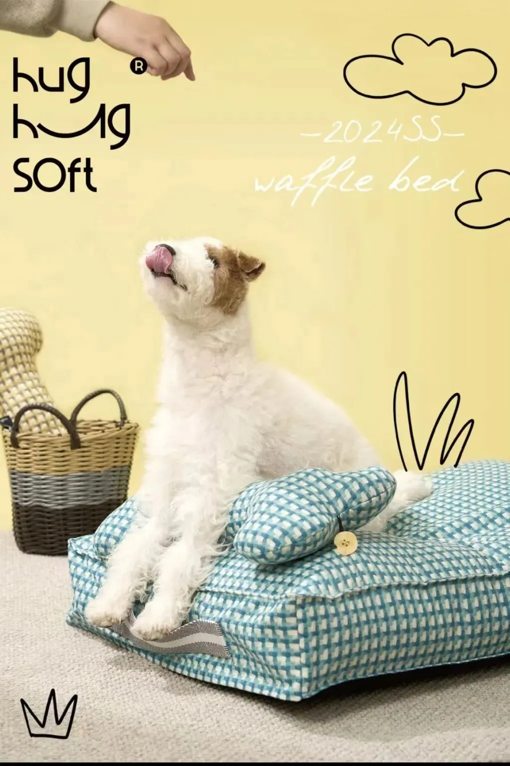 宠物拟人化营销调研,我们这样做!