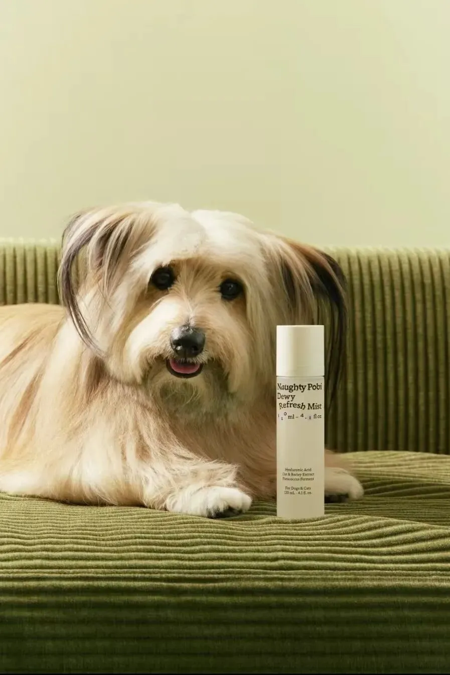 宠物拟人化营销调研,我们这样做!