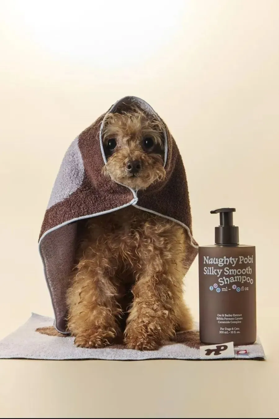 宠物拟人化营销调研,我们这样做!