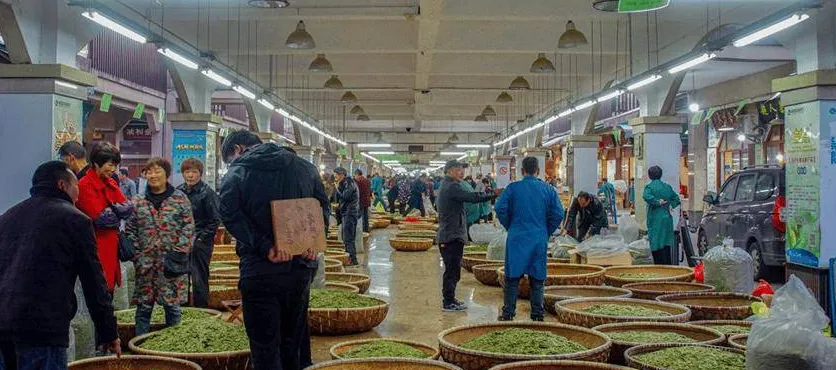 茶叶市场逛了一上午,我空着手出来的