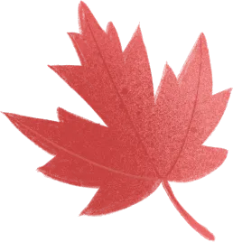 韶关市城区市场开发管理有限公司成功竞得国有资产经营权——以化运作赋能“百千万工程”