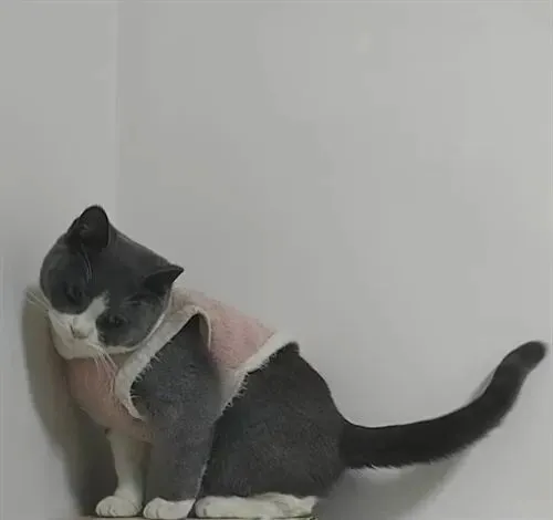 陇南本地二手市场火热!电视、自行车、家电等低价出售,速来抢购!