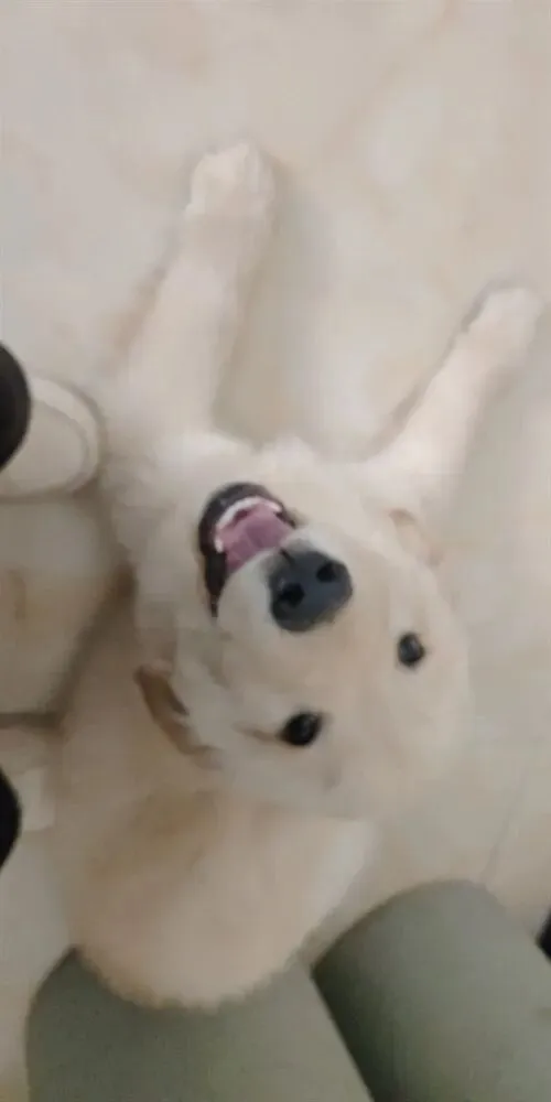 陇南本地二手市场火热!电视、自行车、家电等低价出售,速来抢购!