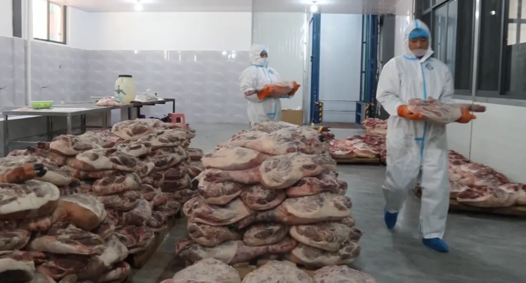 自然风味“链”上市场!巍山彝家黑猪跑出产业振兴加速度