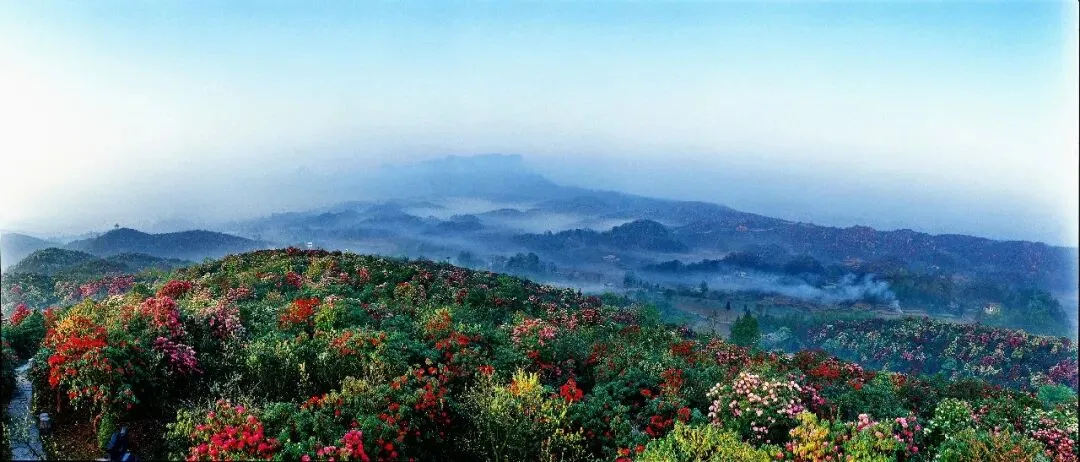 春假政策激活春日旅游市场 贵州用户预订热度周环比涨超150%