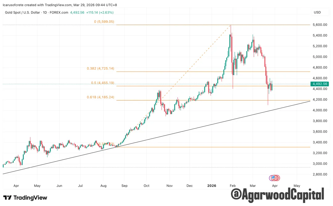 每週市場觀察報告2026/3/30