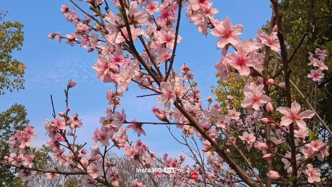 冷水江市市场监督管理局关于规范成品油市场价格行为的提醒告诫书