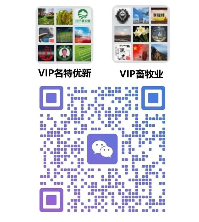 国际农产品市场价格与供需快报(第290期)