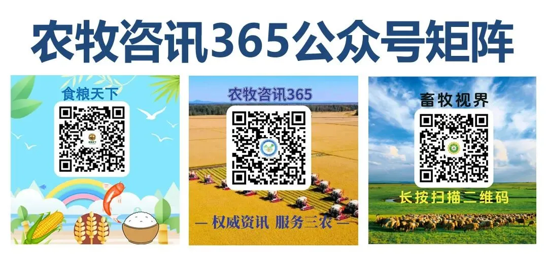 国际农产品市场价格与供需快报(第290期)