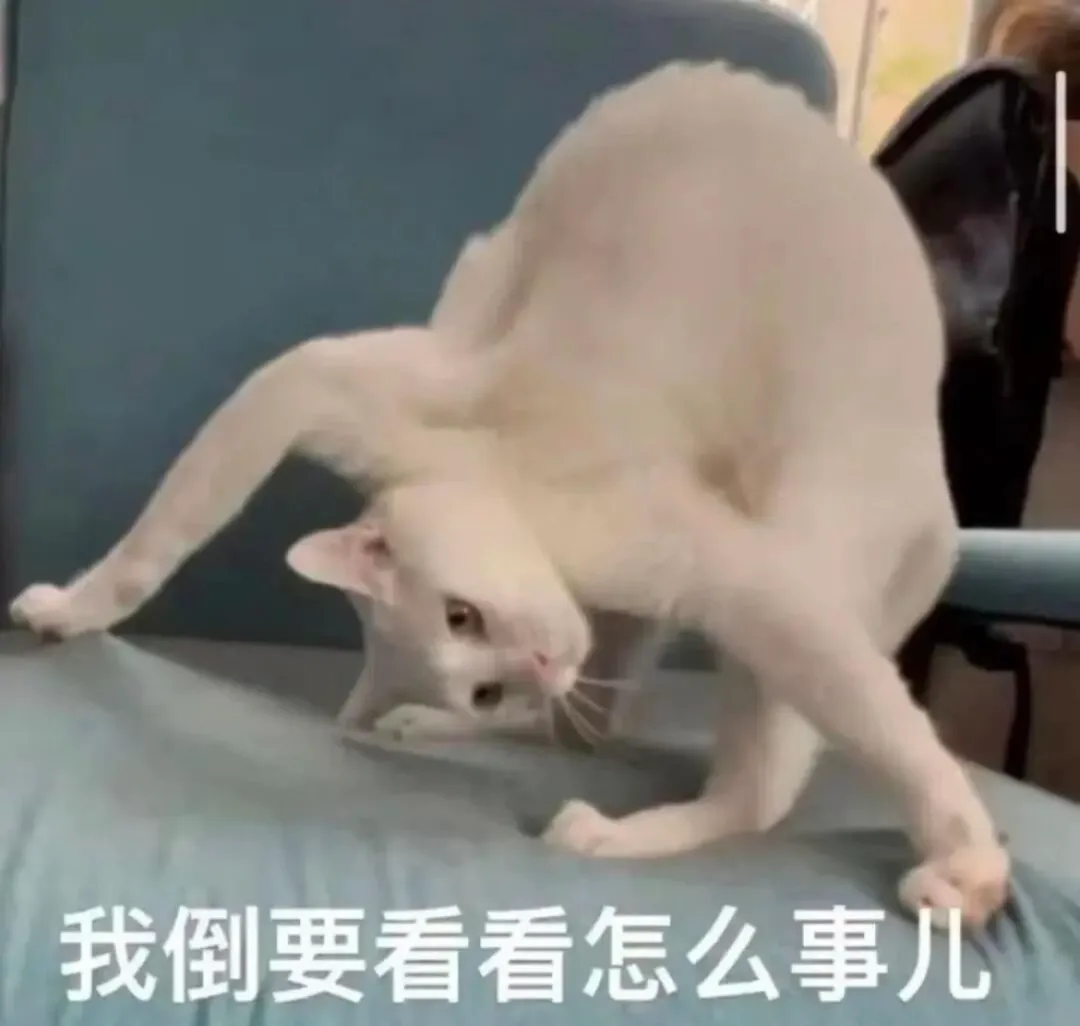 奶粉营销天花板:网友嗑CP,飞鹤帮养娃