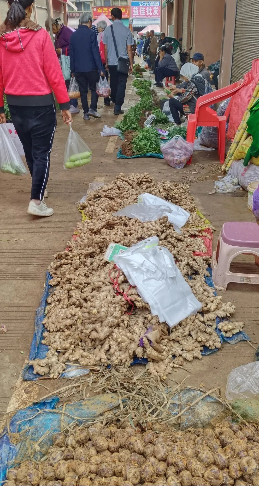 菜市场里藏着的惊喜,在西城农贸市场拾获生活的甜