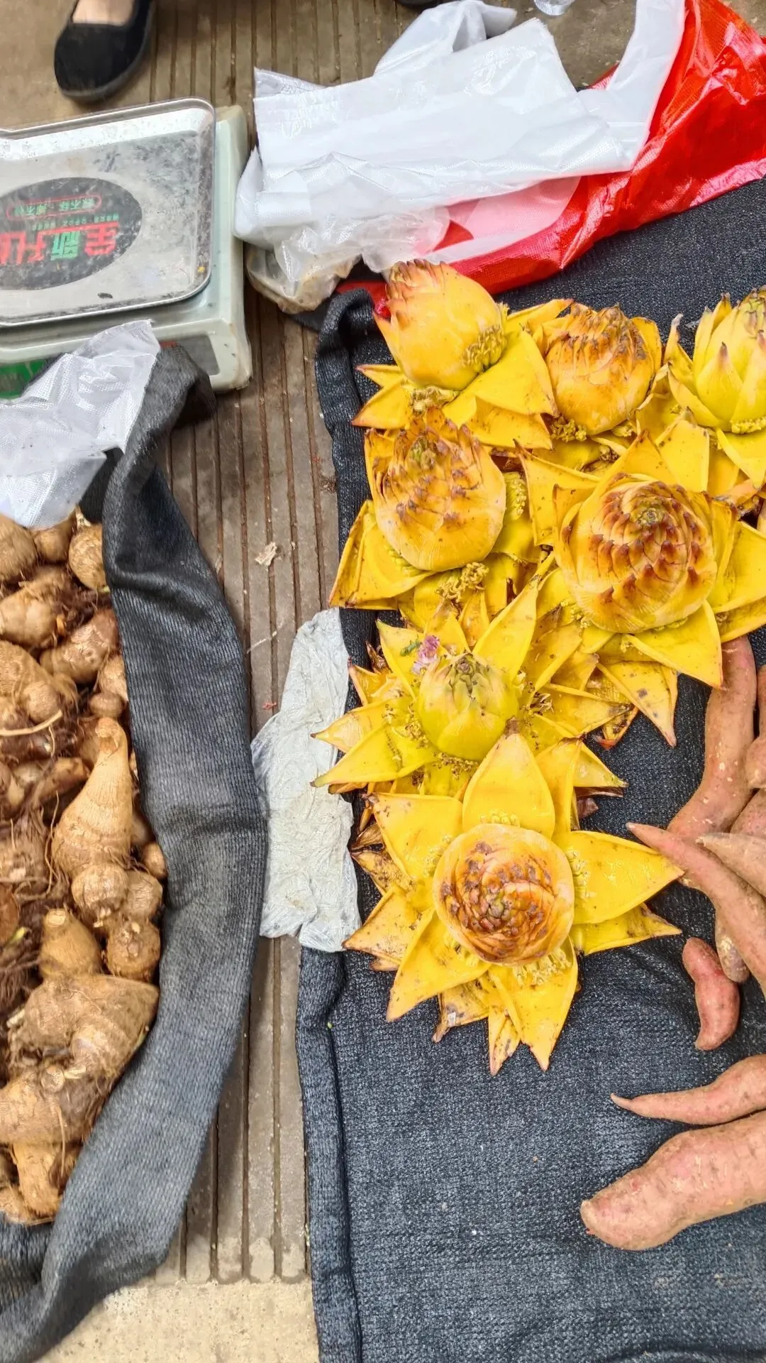 菜市场里藏着的惊喜,在西城农贸市场拾获生活的甜