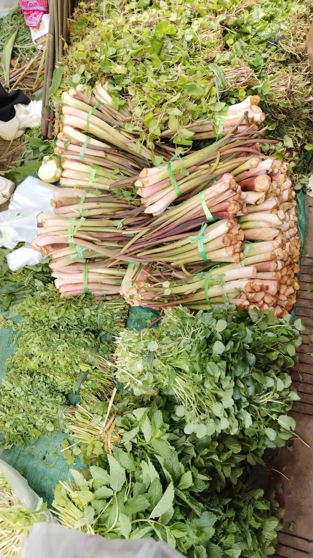 菜市场里藏着的惊喜,在西城农贸市场拾获生活的甜