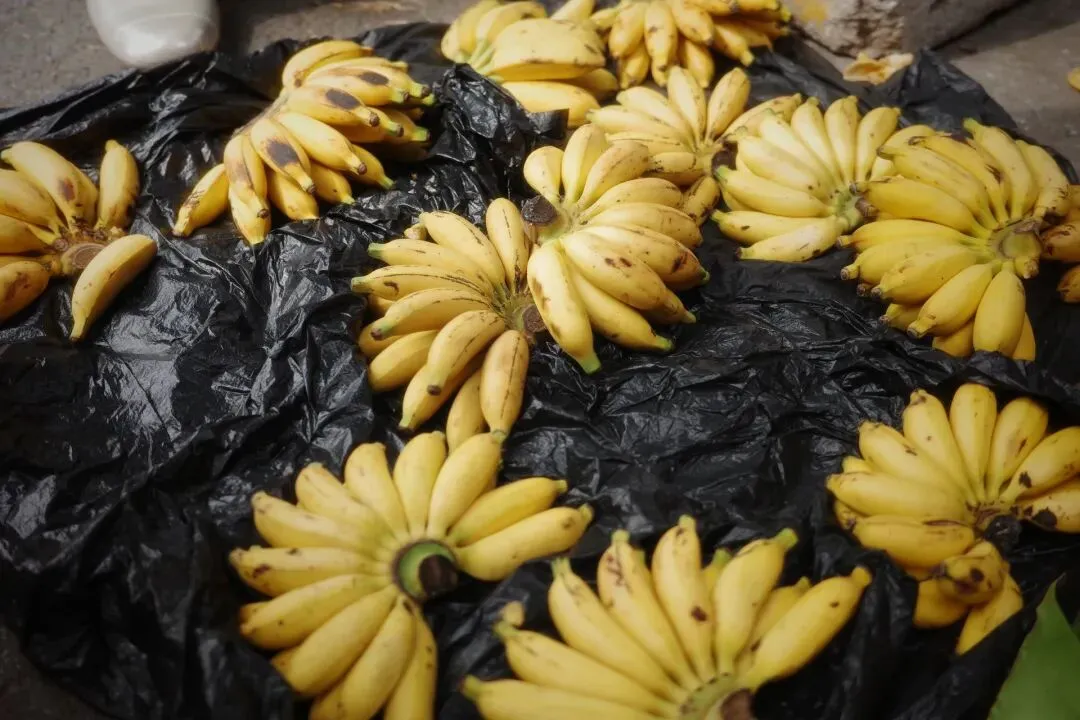 故地重游大市场