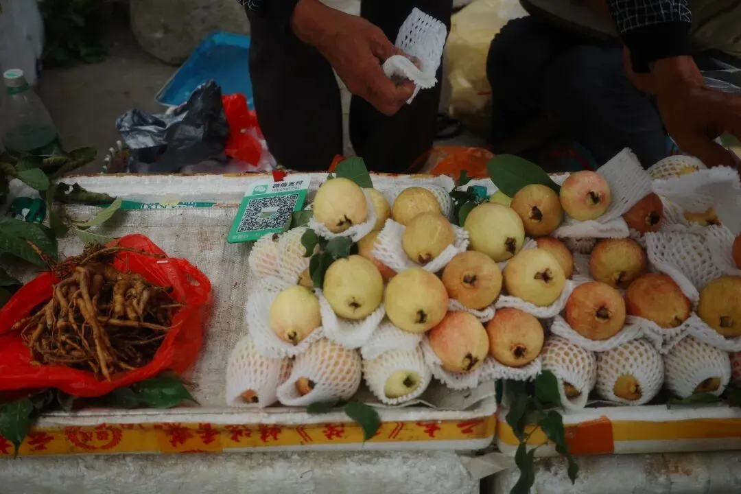 故地重游大市场