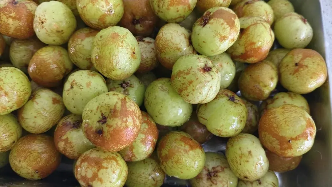 菜市场里藏着的惊喜,在西城农贸市场拾获生活的甜