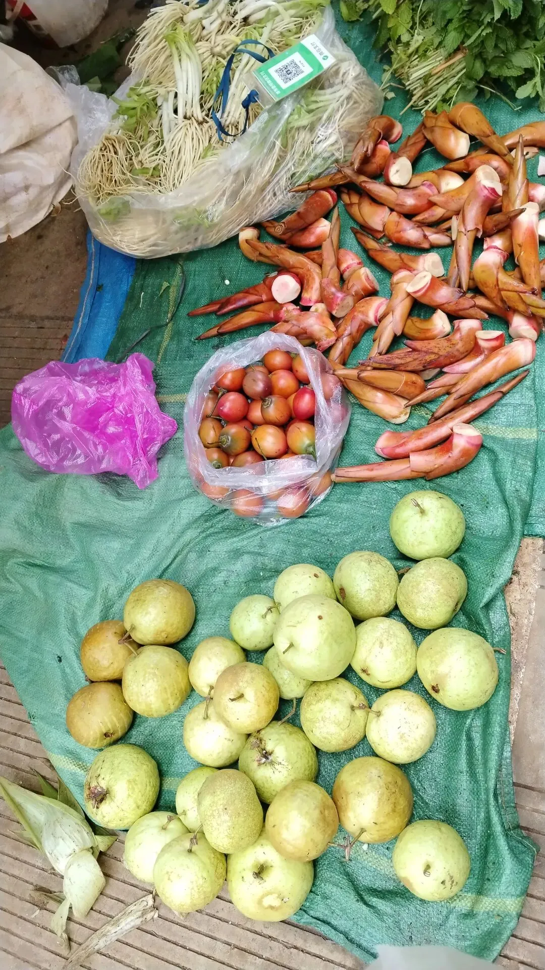 菜市场里藏着的惊喜,在西城农贸市场拾获生活的甜