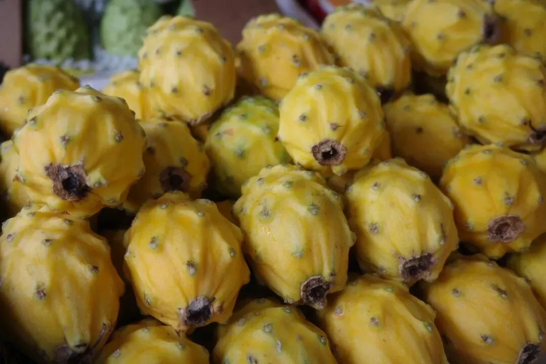 故地重游大市场