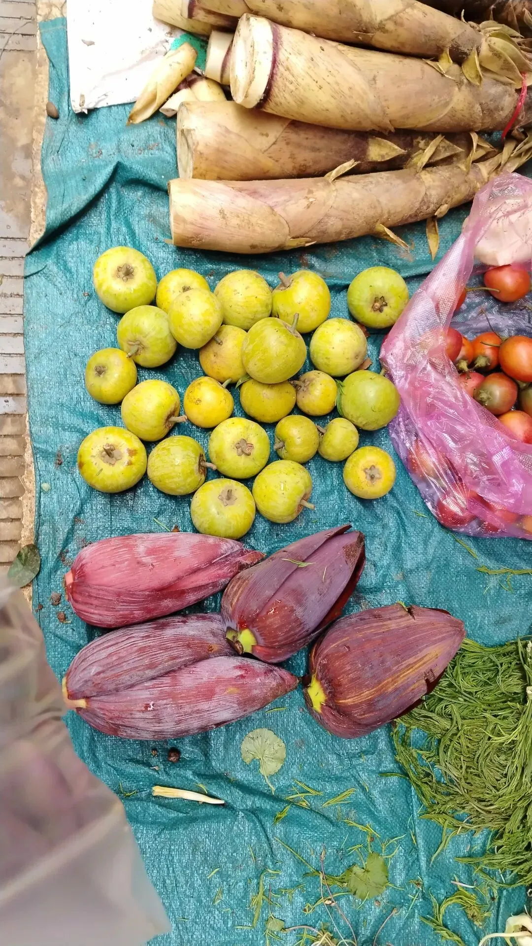 菜市场里藏着的惊喜,在西城农贸市场拾获生活的甜