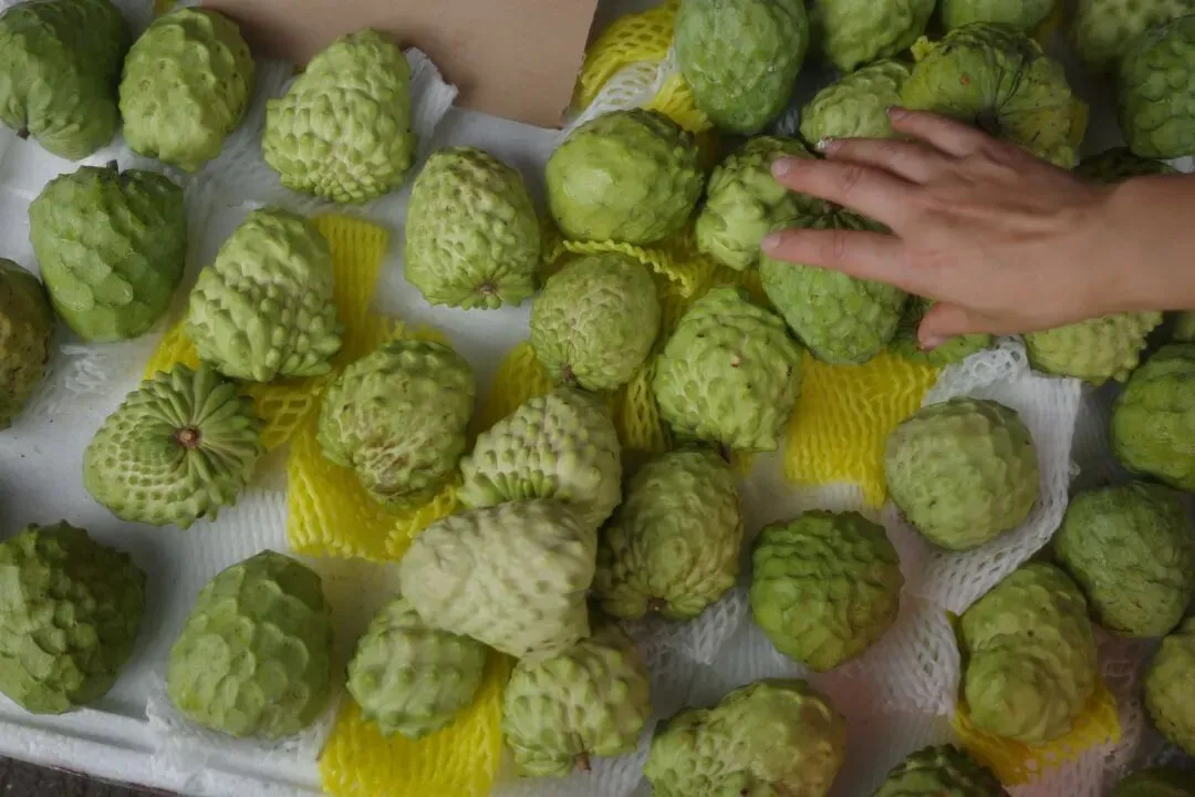 故地重游大市场