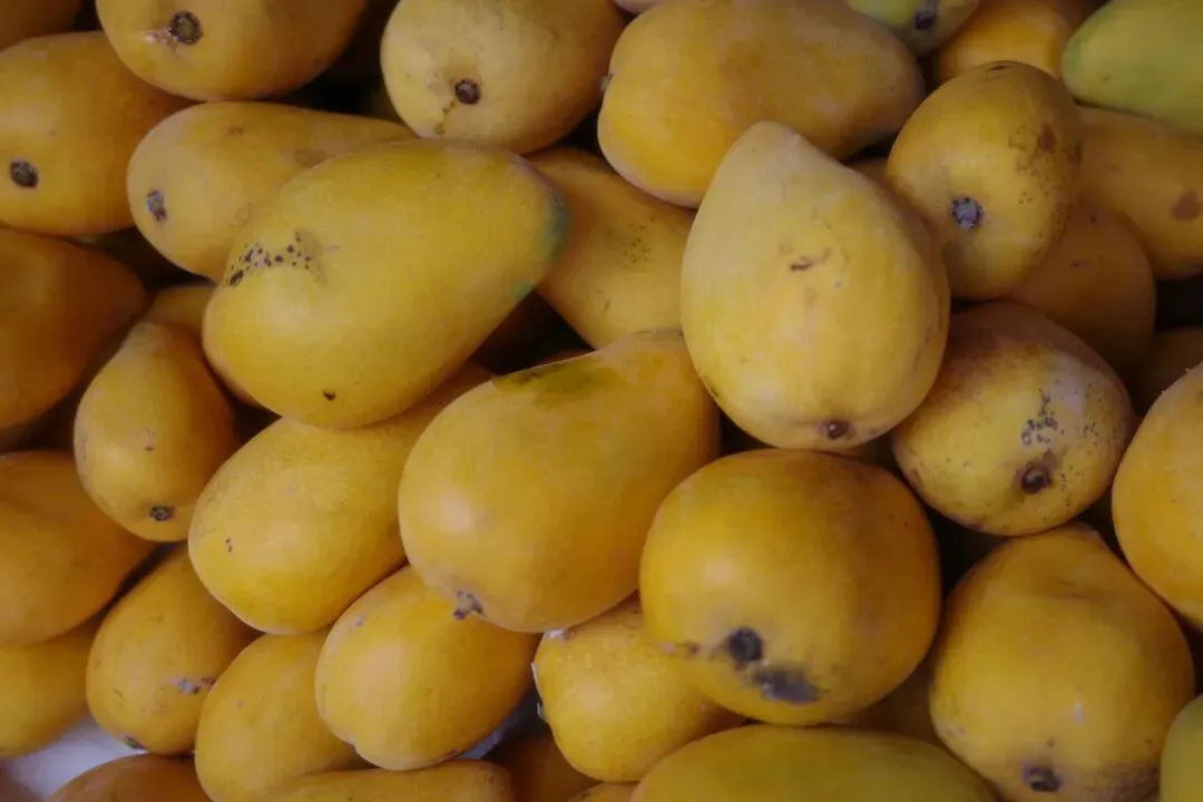 故地重游大市场