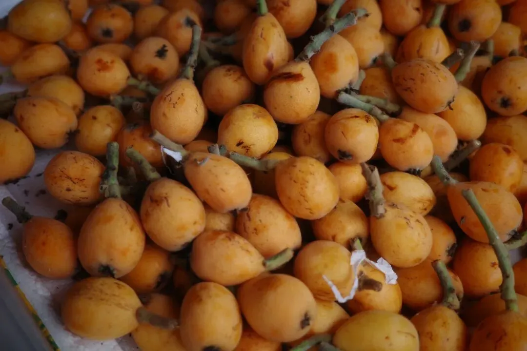 故地重游大市场