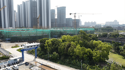 开平这个农贸市场即将封顶