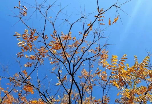 一周市场资讯(2026/3/23-3/29 )