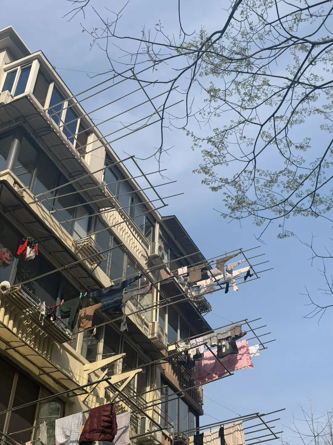 残酷如自由市场