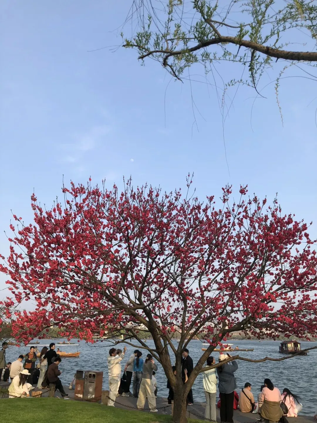 融通能力与市场观察