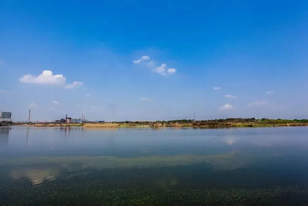 【魏东前】设局——一种令人动心的营销手段