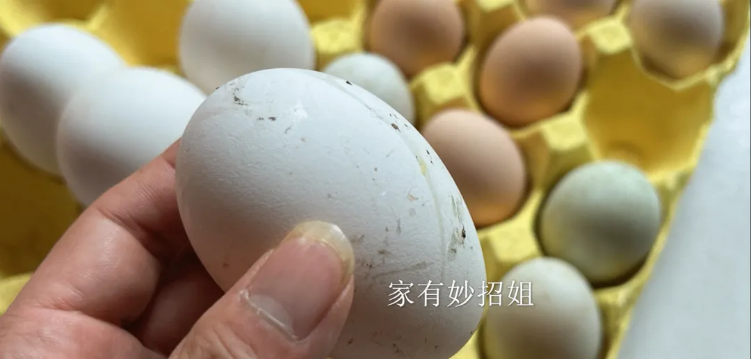 为啥鹅蛋市场上很难买到?其实原因没你想的那么简单,了解后才发现真相