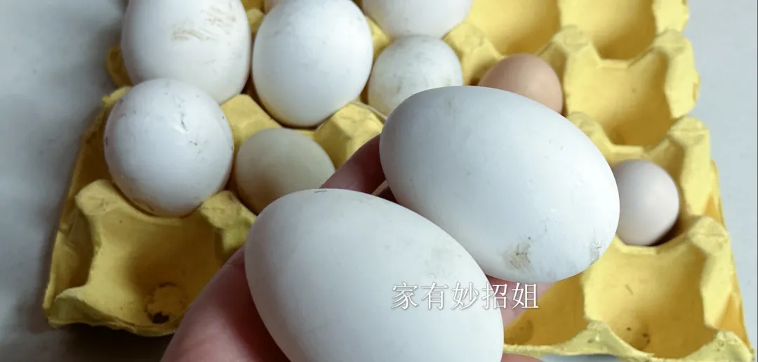 为啥鹅蛋市场上很难买到?其实原因没你想的那么简单,了解后才发现真相